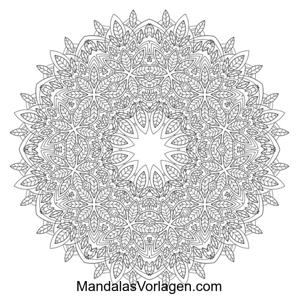 Herbst Mandala mit Blättern – Filigrane Ausmalvorlage für den Herbst