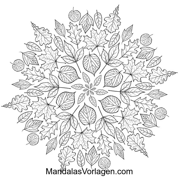 Herbst Mandala mit bunten Blättern – Ausmalvorlage für Kinder & Erwachsene