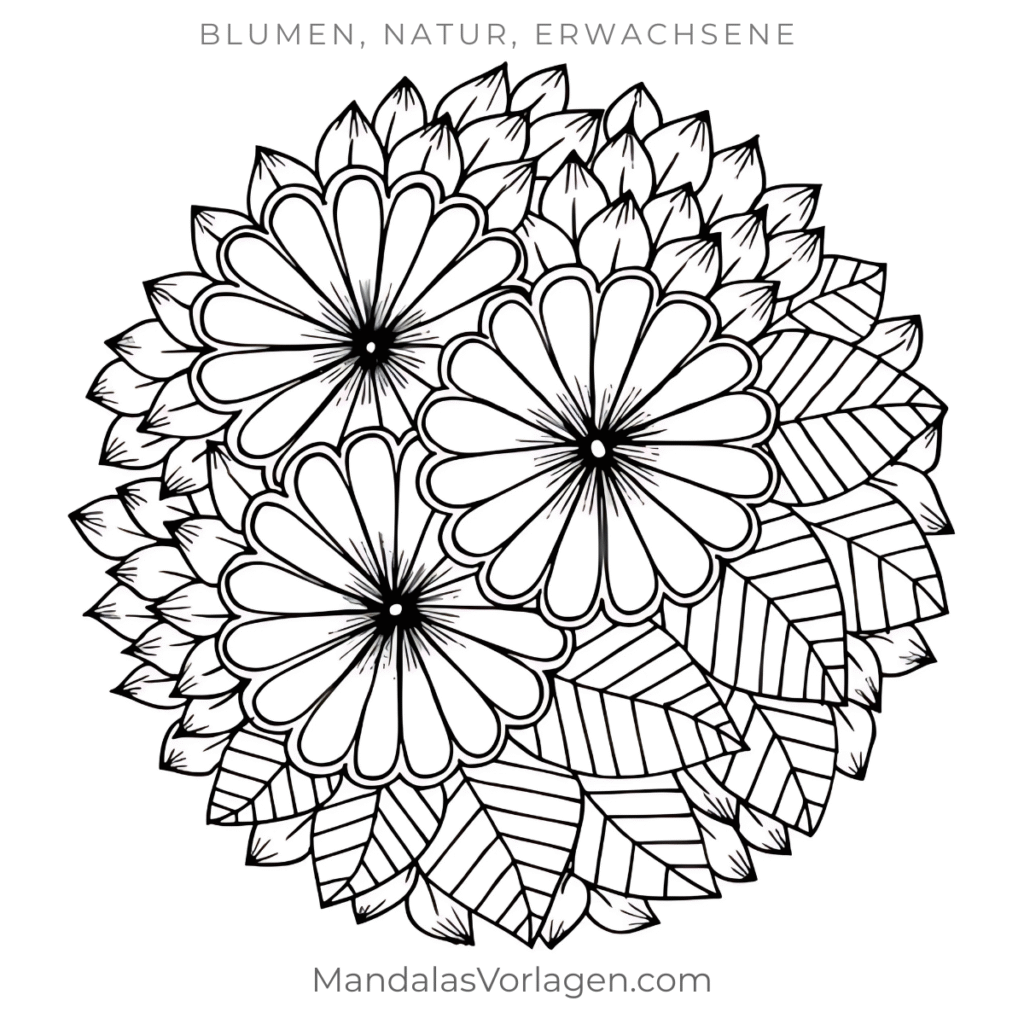 Mandala Blumen Trio mit Blättern – Ausmalvorlage