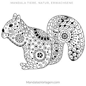 Mandala Eichhörnchen verspielt – Ausmalbild für Erwachsene