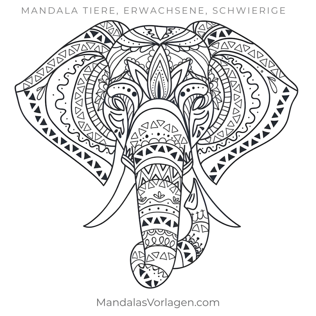 Mandala Elefant mit großen Ohren – kostenlose Ausmalvorlage