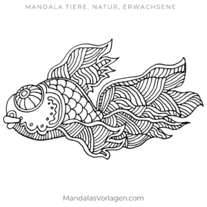 Mandala Fisch mit fließenden Flossen – Ausmalvorlage