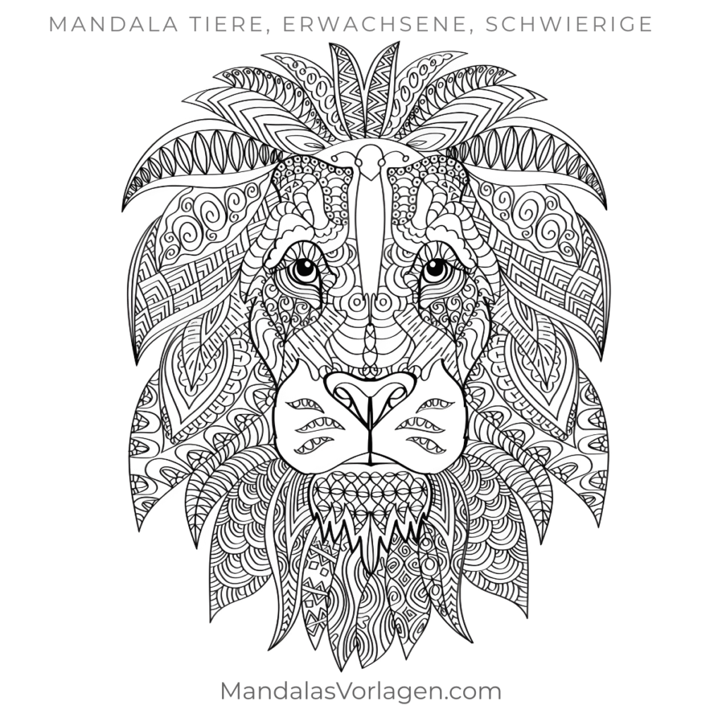 Mandala Löwe mit detailreicher Mähne – Ausmalvorlage