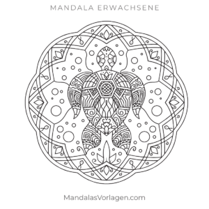 Mandala Schildkröte Meer – kostenlose Vorlage für Erwachsene (PDF)